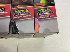 Playmates TMNT x WWE Ninja Superstars Series 1 Complete Set SEALED