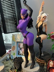 Catwoman Knight Fall