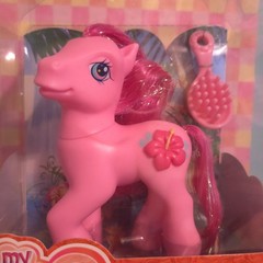 G3 My Little Pony BEACHCOMBER 2005 MIB Dream Design Pony