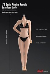 US 1:6 Pale Skin Large Bust Breast 12″ Female Seamless Flexible Figure Body Toys