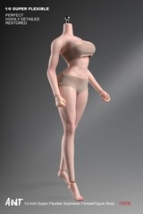 New ANT T307 1/6 Female Normal Sexy Large Bust Muscle Plump Body For 12”Figure