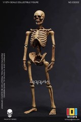 101TOYS NO.ES001/2 Palm Elf Series Skeleton Body 1/12 Action Figure Collectible