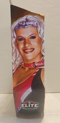 WWE Elite Collection MOLLY HOLLY Series 16 HDM50 By Mattel – New & Sealed U
