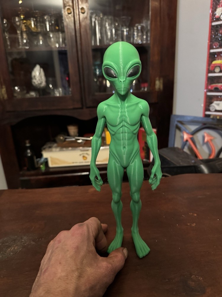 Green Alien Action Figure! New Species! 12” Tall!