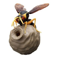 The Diversity of Life on Earth Potter Wasp Action Figure Bandai Capsule Toy