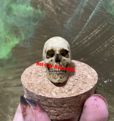 1/6 Scale Skull Model Kits Accessory for Action Figure Custom Scene Set-Up