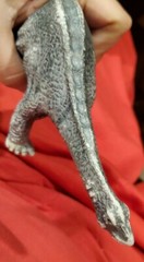 2002 Schleich Germany Apatosaurus Dinosaur Toy Model Figure 9-1/2″ x 3-1/2″