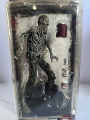 The Walking Dead McFarlane Toys Action Figures Series 9 Beth, Michonne, T-Dog