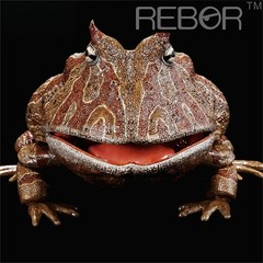REBOR 1/2 Beelzebufo Action Figures Frog Decor Animal Model Adult Gift