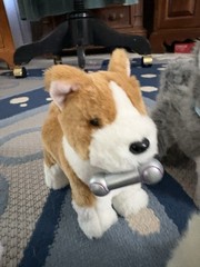 Lot of AG Doll Dogs and Cats