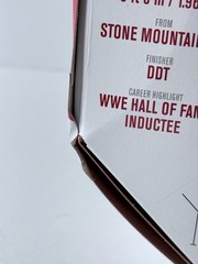 WWE Ultimate Edition Jake THE SNAKE Roberts Serie 32 Mattel 2026 ( Damage Box)