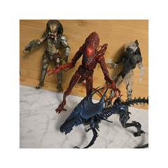 Neca alien queen lot. Incudes alien queen, and lot of predators and aliens