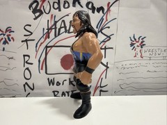 TRT Wrath Title Run Toys Wrestling Figure Hasbro Style Retro Adam Bomb WCW MINT