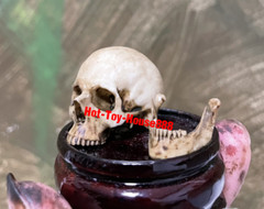 1/6 Scale Skull Model Kits Accessory for Action Figure Custom Scene Set-Up