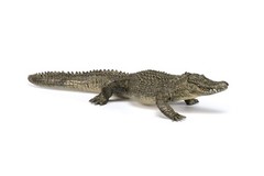 Papo Alligator – Hand Painted Figurine – Heirloom Quality Collectible (50254)