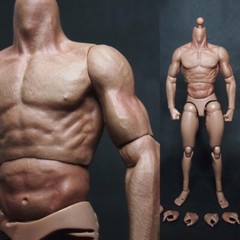 1/6 Scale ZC toy Male Man Boy Body Figure Military Chest Muscular 12″ Soldiers