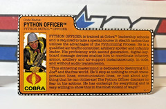GI Joe Python Patrol Officer 1989 *100% COMPLETE w/File Card, NEAR MINT!* Cobra