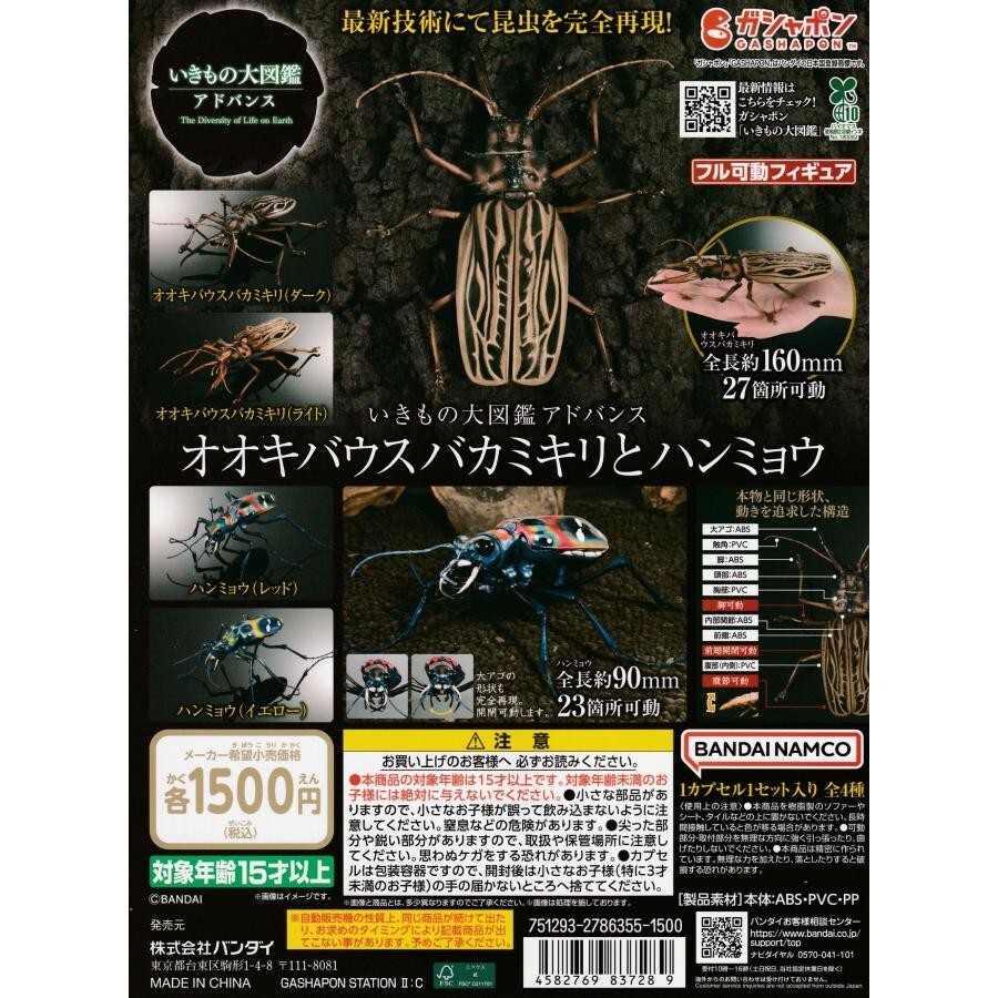 The Diversity of Life on Earth Sabertooth Longhorn Beetle And Tiger Beetle Set
