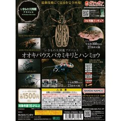 The Diversity of Life on Earth Sabertooth Longhorn Beetle And Tiger Beetle Set