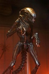 Neca Alien Romulus Scorched Xenomorph 7″ Action Figure Movie 1:12 Scale New