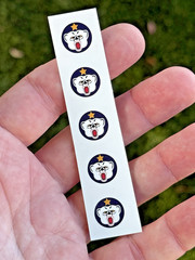 Vintage Gi Joe Reproduction Ski Patrol Helmet water slide decals FREE SHIPPING