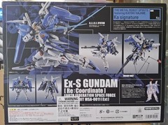 Bandai Metal Robot Spirits MSA-0011 EX-S Gundam Re:Coordinate action figure