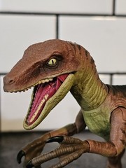 Velociraptor Echo Amber Collection JURASSIC PARK Mattel Articulated Tail Flaw
