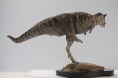 MEMORY MUSEUM 1/15 Carnotaurus Limited Edition Dinosaur Model Figure Toys Gift