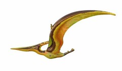 Jet Creations DI-PTE Dinosaur Pteranodon Inflatable 57″ Wingspan- Great For Pool