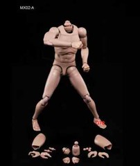 US 1/6 Standard Muscle Male Body Model Toy Fit 12″ Action Figure Head MX02-A