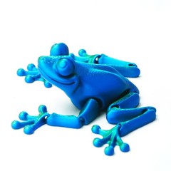 6.69inch 3D Printed Frog Model,Articulated Animals Figure,Fidget Toys Home Decor
