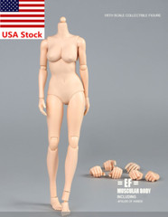 TQ0516 1/6 Female Pale Skin Large Bust For 12”Action Figure Body Doll Model