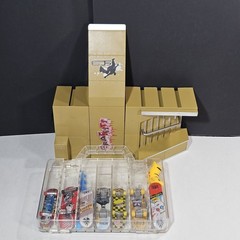 Tech Deck Finger Skate Park Ramps With Skate Boards And Hard Plastic Carry Case