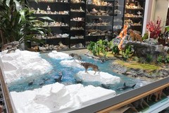 Earth Story Male Dire Wolf Model Prehistoric Animal Figure Adult Kids Gift Toys