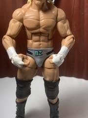 Dolph Ziggler WWE Mattel Elite 39 Wrestling Figure Wrestlemania Nic Nemeth TNA