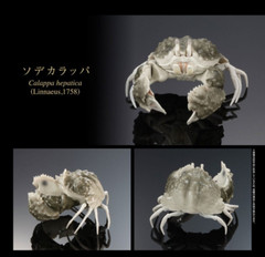 Bandai Premium Capsule Toy Creature Encyclopedia CRAB Figure Set of 4 Complete
