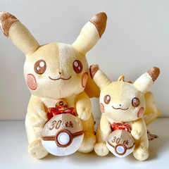 Pokemon 30th Anniversary Pikachu Plush Mascot Set Pika Pika Japan Pokemon Center