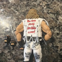 Shawn Michaels WWE WWF Legends Elite Collection Exclusive Series 17 COMPLETE