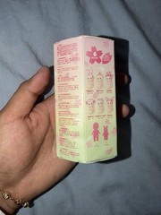 Sonny Angel Cherry Blossom Hanami 2025 Blind Box Sealed Rare US Seller