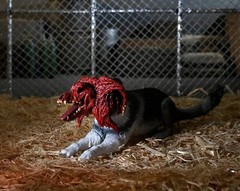 NECA THE THING DOG CREATURE DELUXE ULTIMATE 7” SCALE ACTION FIGURE