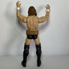 WWE Elite Series 73 Daniel Bryan w/title LOOSE
