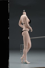 US 1/6 Female Mid Bust Pale Skin Flexible Seamless Body 12in Action Figure Doll
