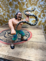 WWF Jake the Snake Roberts with Damien Hasbro Series 1 Figure WWE 1990