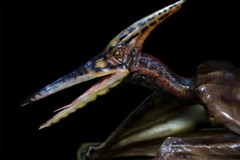 DINO DREAM 1/15 Pteranodon with Base Dinosaur Model GK Animal Figure Toys Gift