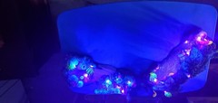 McFarlane Avatar World of Pandora Light-Up Metkayina Reef & Rainforest Lot