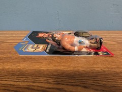 Jake Roberts | Grapplers and Gimmicks | WWF WWE WCW | Hasbro Style Figure