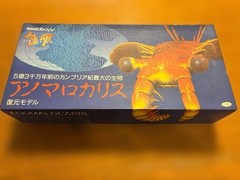Anomalocaris Figure NHK Life 4 Billion Years Cambrian Prehistoric Model Vintage