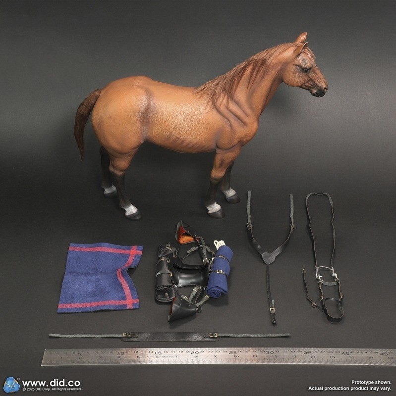 Brown-Red War Horse DiD 1/6 Scale E60082 for Captain nathan