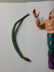 Vintage Jake The Snake Roberts LJN Titan Sports With Damein Figure 1987 Wwf Wwe