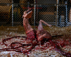 Neca 7″Scale The Thing Ultimate Dog Creature Action Figure In Stock